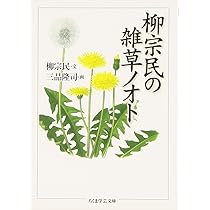 日本の花本 5117CS705TL.jpg_BO30,255,255,